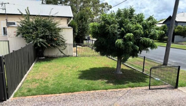 A TikToker transformed a drab yard into a pollinator-friendly garden, and the results are incredible.