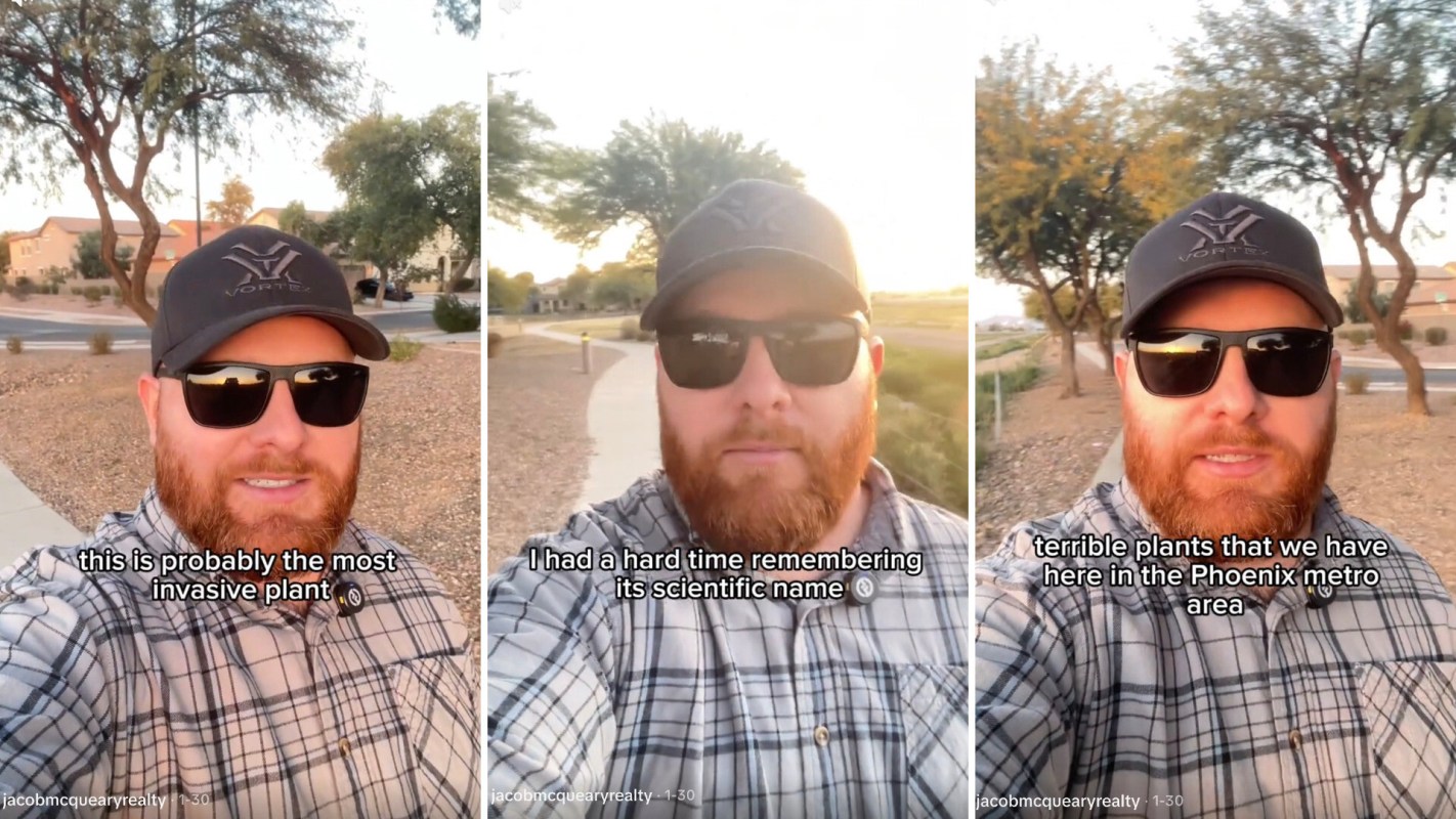 Arizona-based wildlife biologist Jacob McQueary warned his followers about a deceptively pretty plant taking over the region.