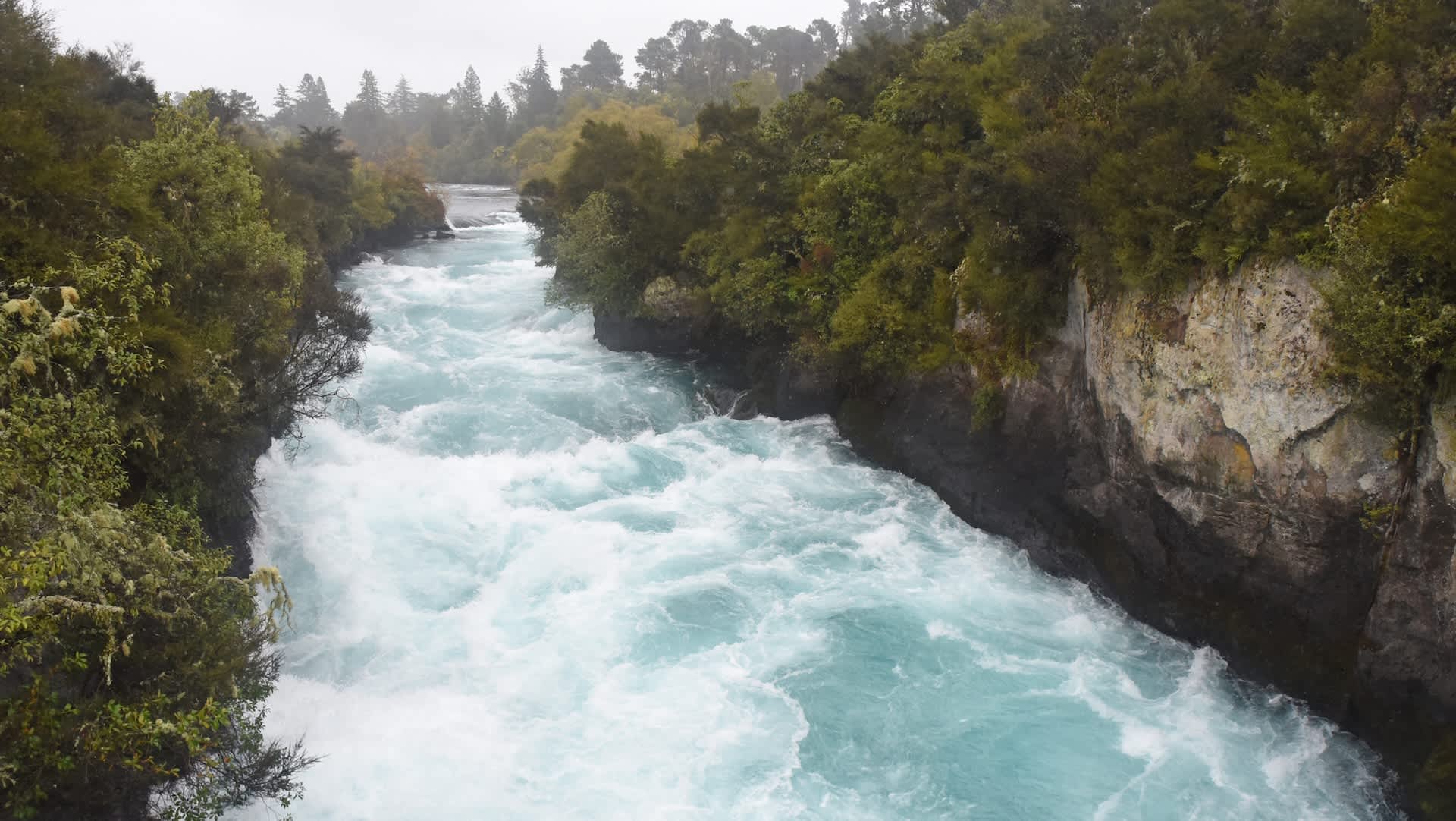 Scientists issue warning after harmful creatures are found in crucial waterway: 'Potentially infects it'