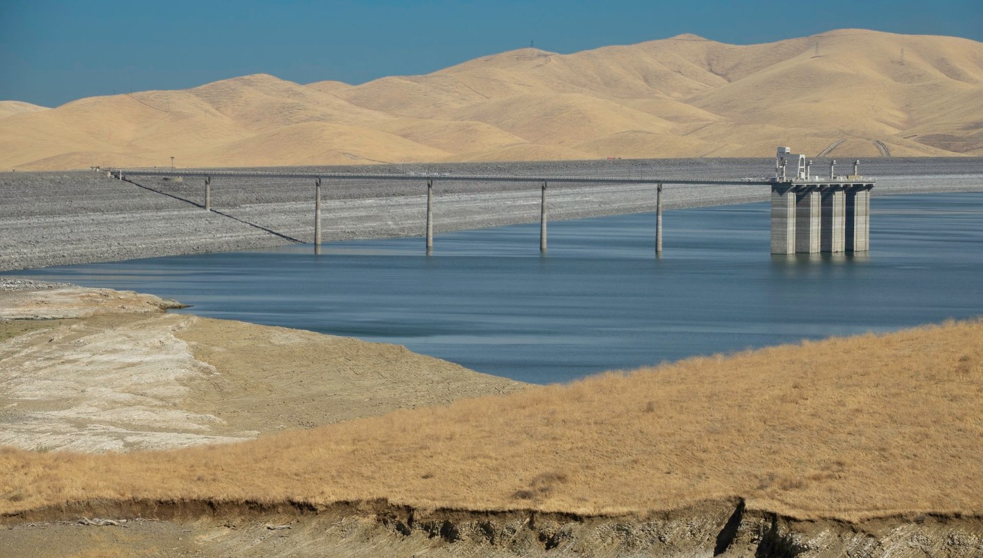 The San Joaquin Valley's water agencies are trying to figure out the best way to combat an influx of golden mussels.