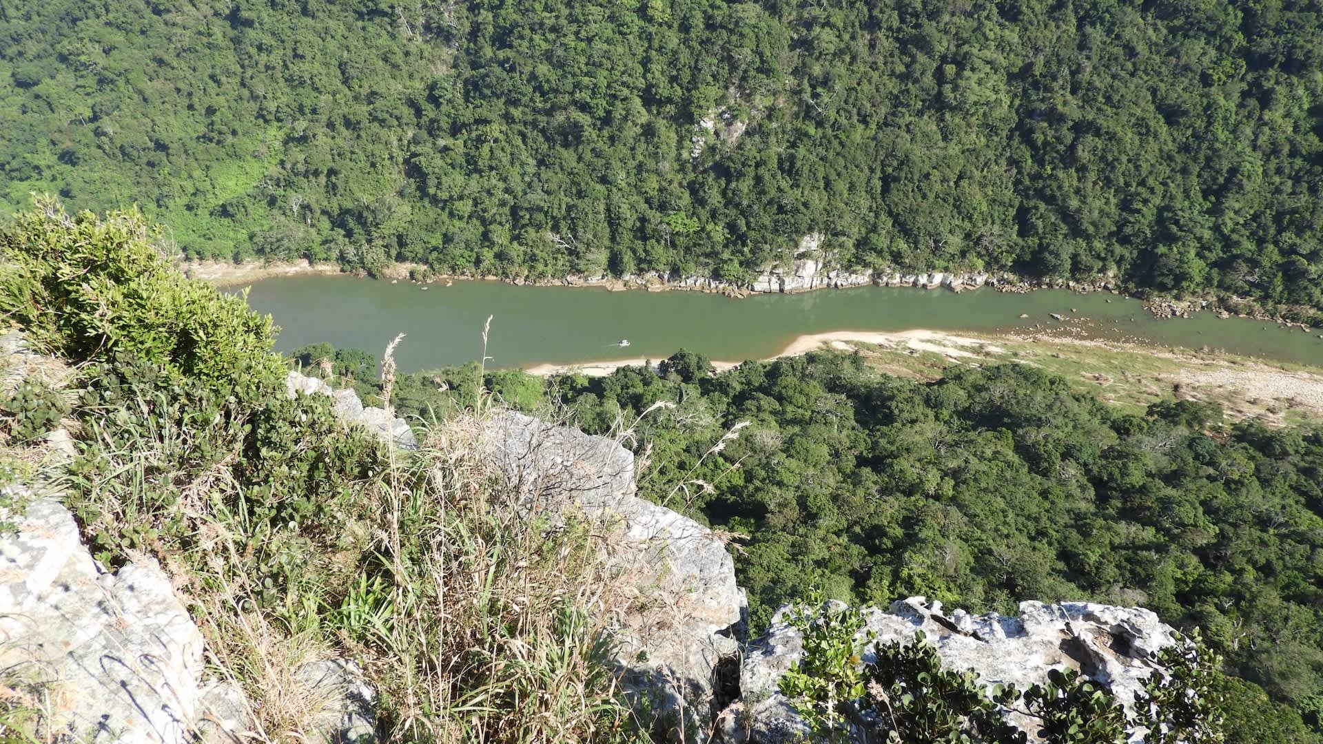 Scientists rediscover rare creature not seen in over 40 years: 'Findings like this reaffirm the importance'