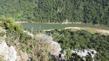 South African scientists rediscovered the granulate bladder grasshopper at the Umtamvuna Nature Reserve.