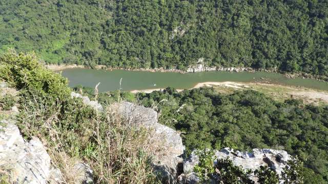 South African scientists rediscovered the granulate bladder grasshopper at the Umtamvuna Nature Reserve.