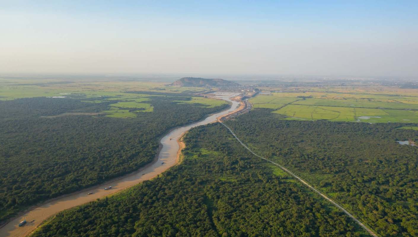 A group of roughly 20 green peacocks was seen grazing at the base of a mountain in Phnom Aoral Wildlife Sanctuary.