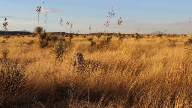 A dry front along with low humidity increased fire risk across the central United States this past Thursday.