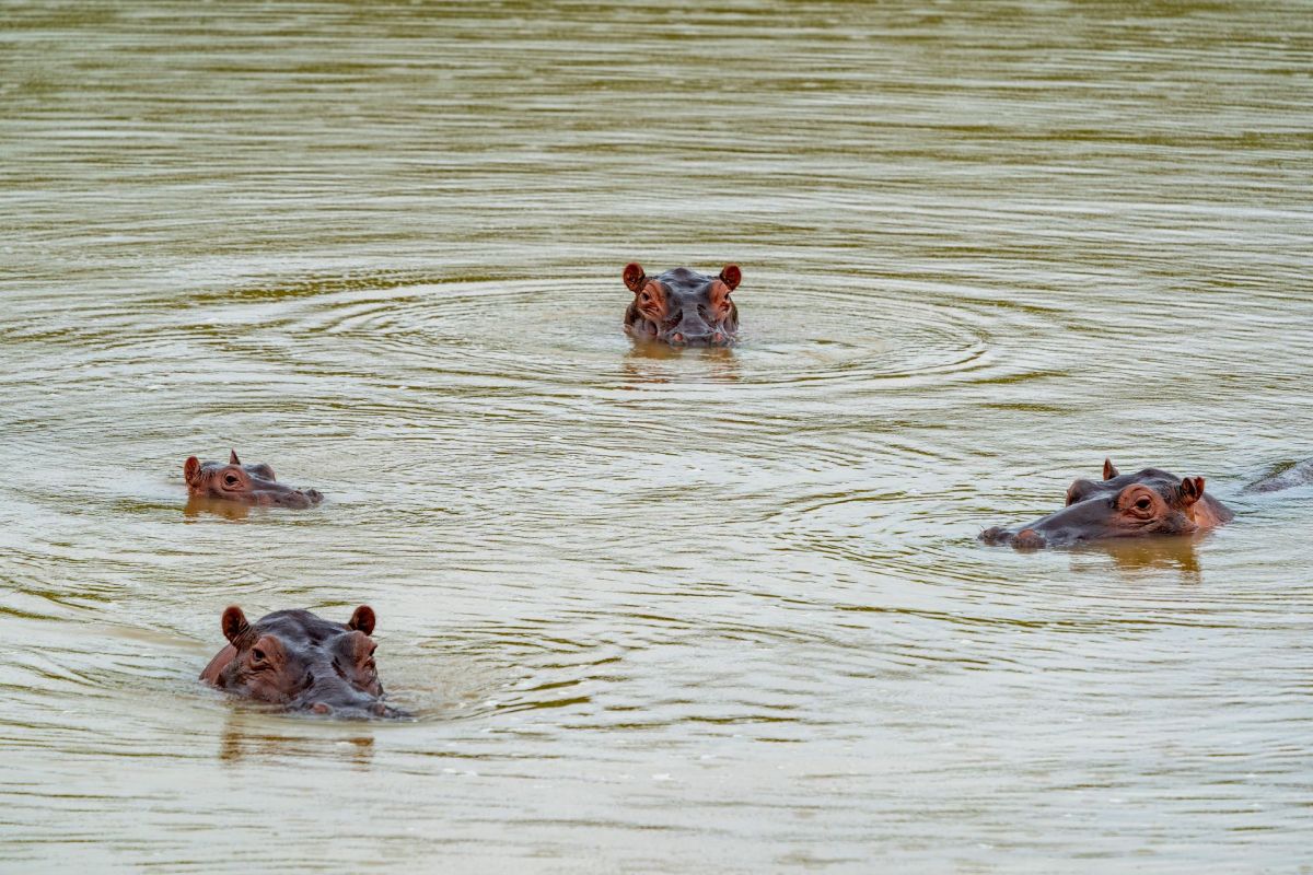 Pablo Escobar's legacy continues to be a significant problem for local residents in Colombia.