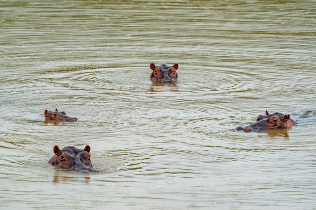 Pablo Escobar's legacy continues to be a significant problem for local residents in Colombia.