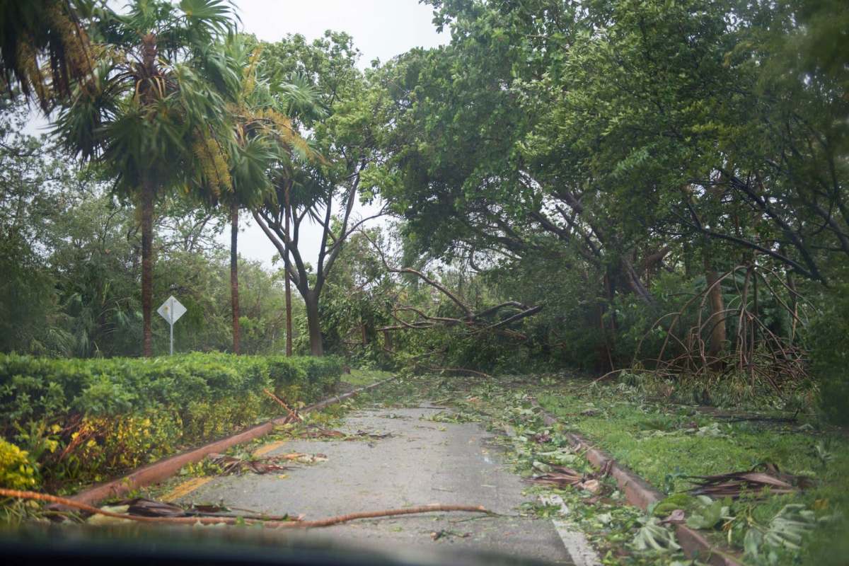After a hurricane damaged a private road in 2024, a homeowner asked if they were dealing with "next-level incompetence" by their HOA in regard to road repairs.