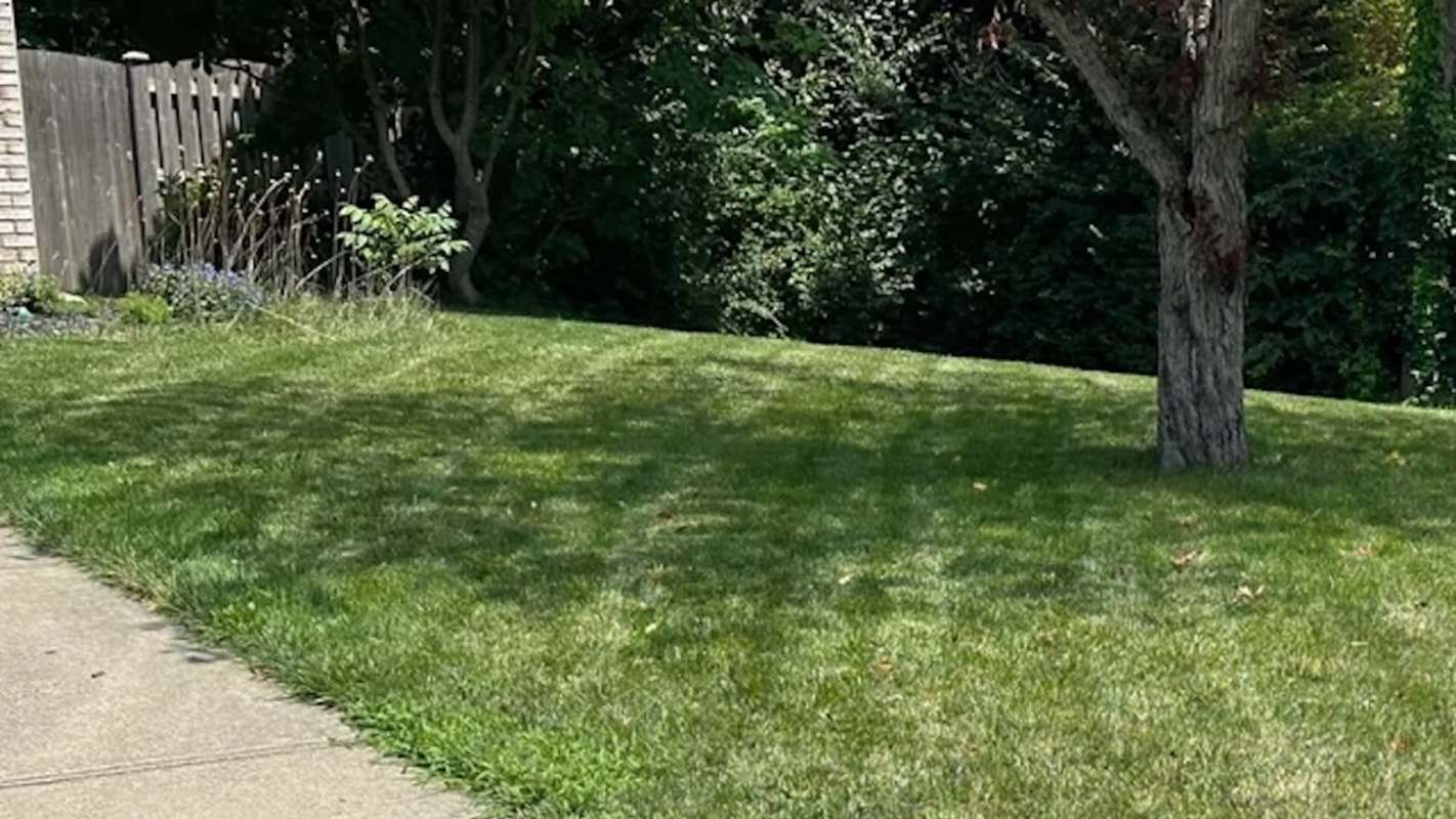 One Redditor made a shocking discovery when they shared photos of a patch of grass that looked different from the rest of their lawn.