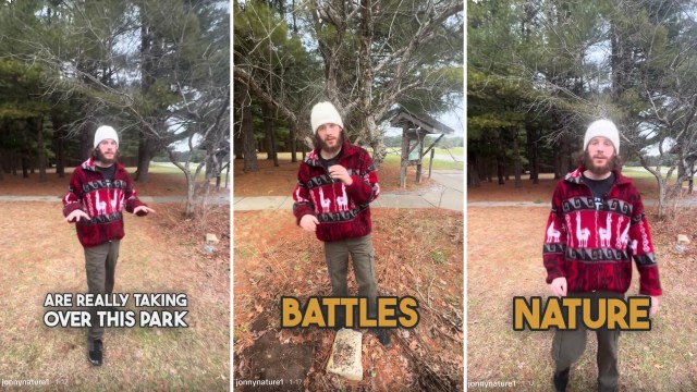 One nature enthusiast shared a video demonstrating his well-intentioned but uncautious removal of invasive bush honeysuckle plants.
