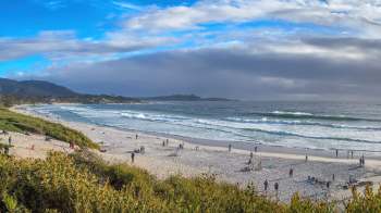 A new study has found that up to half of the sediments on British beaches are made up of these unpleasant materials.