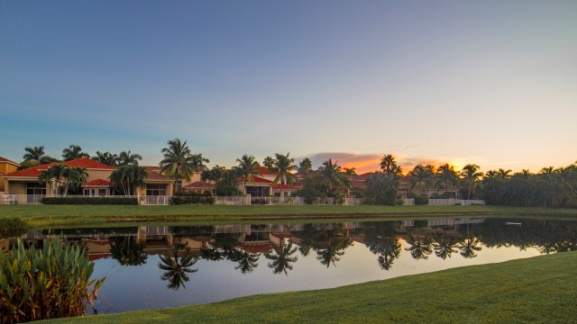Record-breaking lows in South Florida facilitated the capture of over a thousand invasive green iguanas.