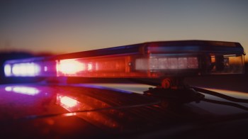 Authorities in Gujarat, a state along the western coast of India, seized 6.5 milliliters of deadly snake venom during a crackdown on illegal wildlife trafficking.