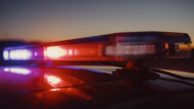 Authorities in Gujarat, a state along the western coast of India, seized 6.5 milliliters of deadly snake venom during a crackdown on illegal wildlife trafficking.