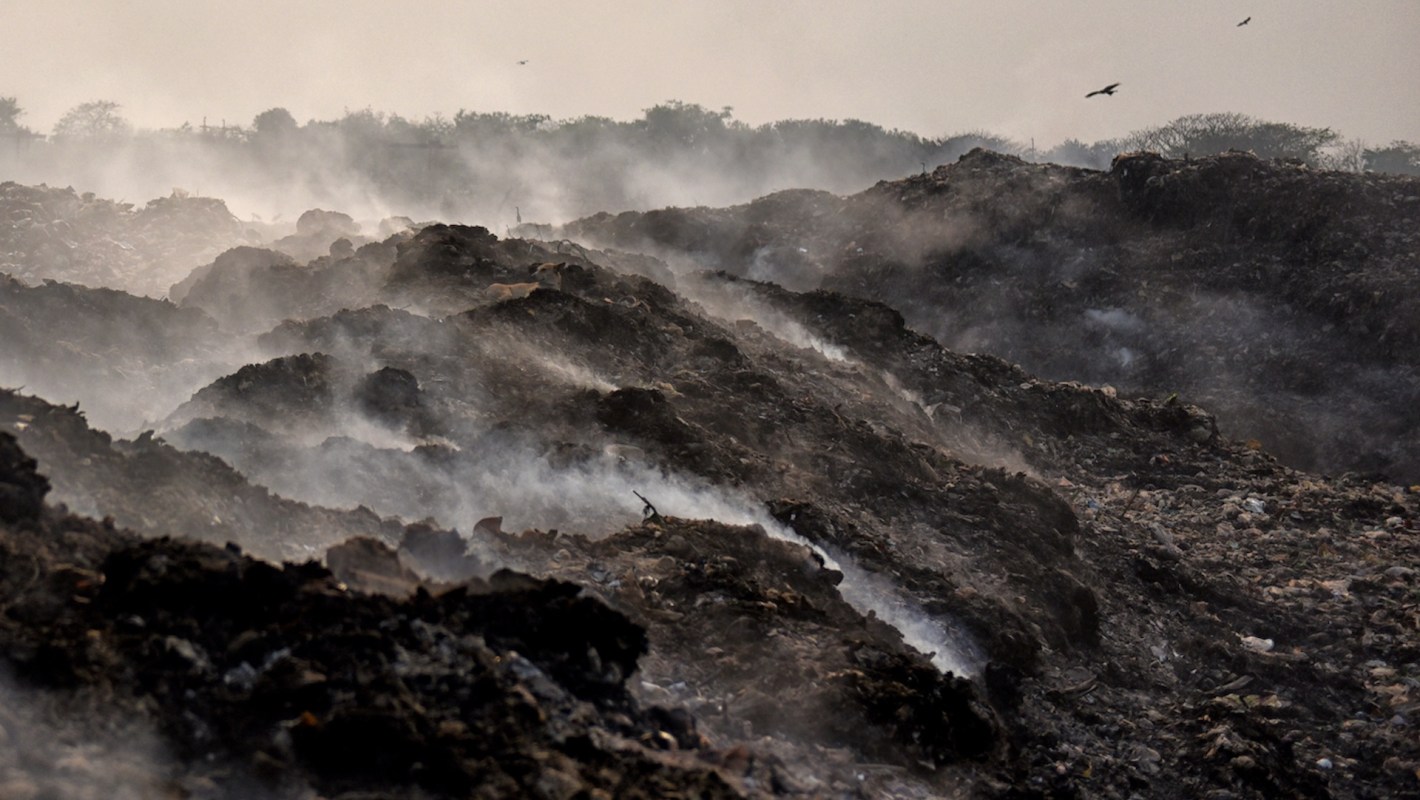 A new report from the United Nations shows staggering levels of food waste around the world, especially in India, which is part of a vicious cycle.