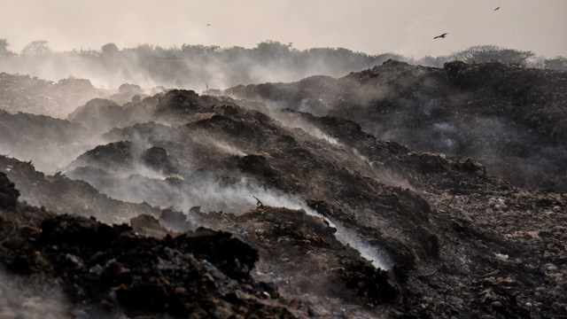 A new report from the United Nations shows staggering levels of food waste around the world, especially in India, which is part of a vicious cycle.