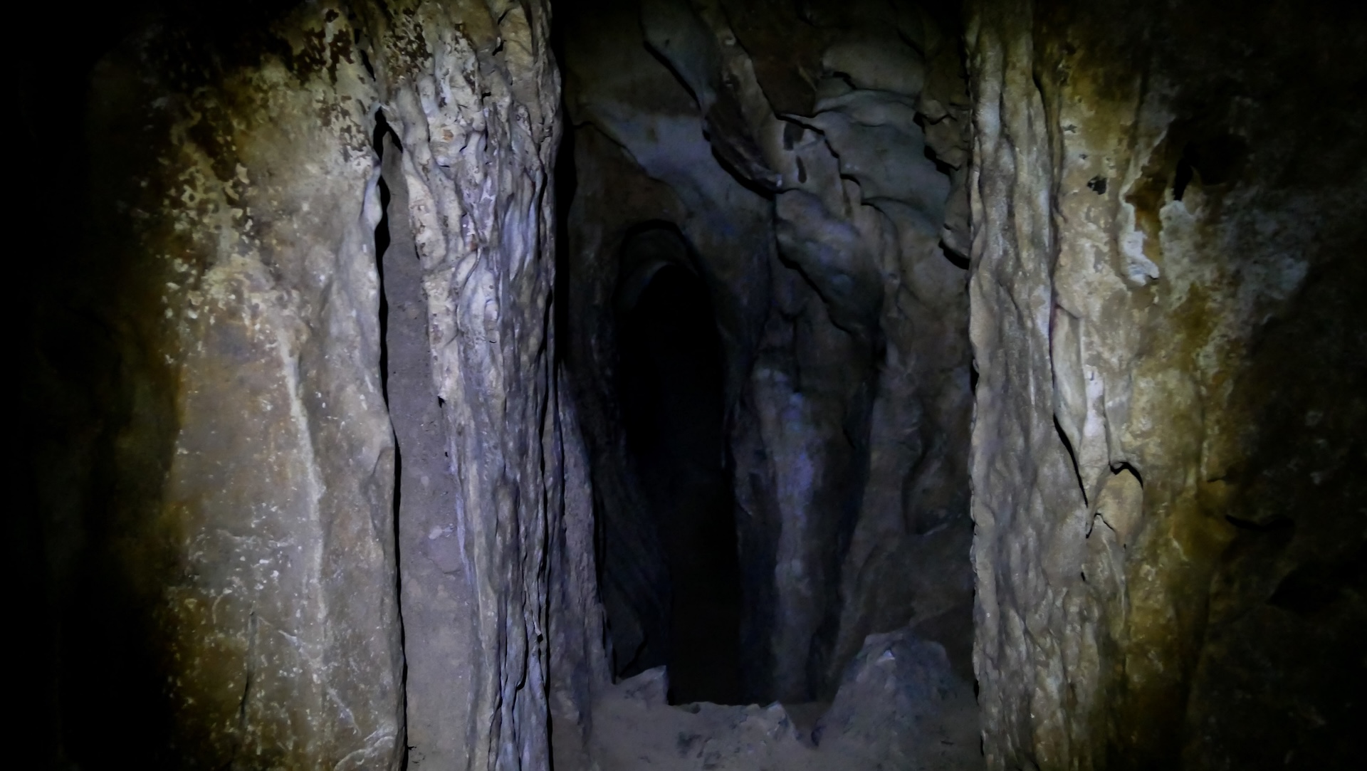 Researchers investigate mummified creatures discovered deep in caves of Saudi Arabia: 'Remains dating back about 4,000 years'