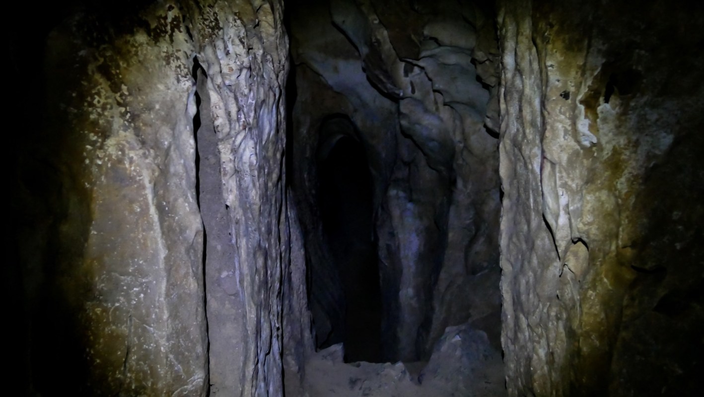 Researchers uncovered a trove of ancient data on cheetahs after finding mummified remains in Saudi Arabian caves.