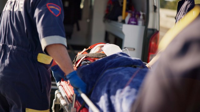 Animal experts are concerned about changing wildlife behavior following a fox attack in Victoria.