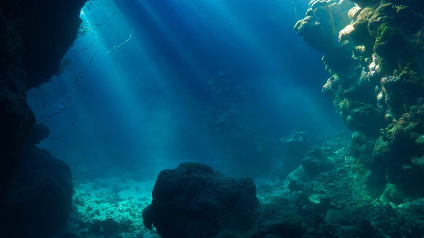 Scientists discovered a concerning phenomenon called browning, which is reshaping hundreds of lakes.