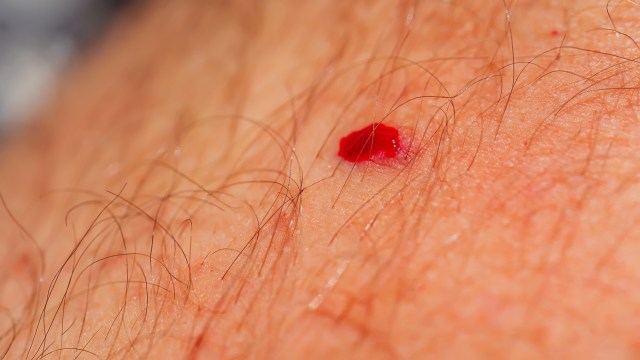 New research has found that mosquitoes are increasingly turning to humans to find their next meal.