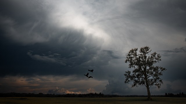 Last year was the third-hottest on record, according to 2025 data collected by six global organizations.