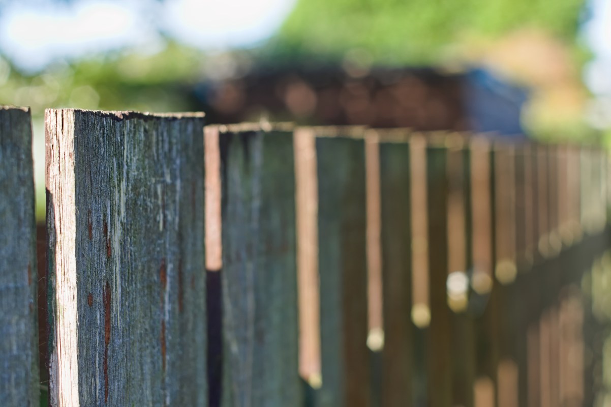 One resourceful Redditor shared the stunning results of their backyard's transformation, complete with a natural lawn and creative water features.