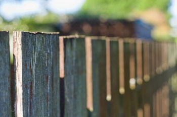 One resourceful Redditor shared the stunning results of their backyard's transformation, complete with a natural lawn and creative water features.