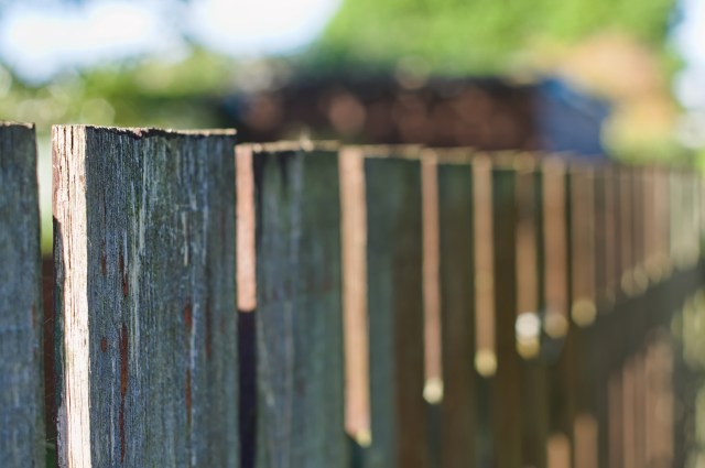 One resourceful Redditor shared the stunning results of their backyard's transformation, complete with a natural lawn and creative water features.