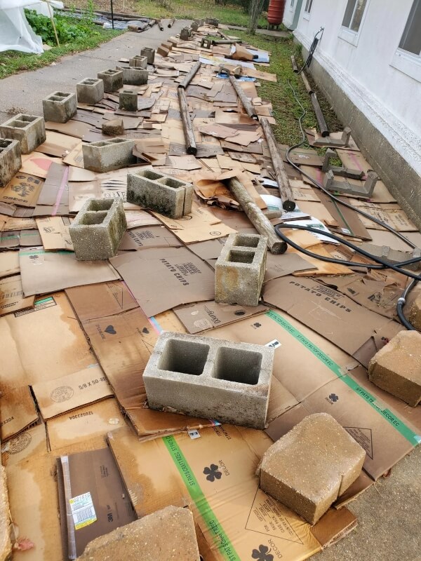 One gardener turned to Reddit to ask how they could turn their grass into a native plant garden without destroying the lawn.