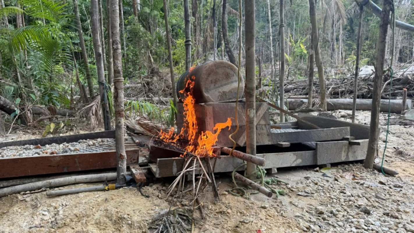 Several countries across the Amazon region are working together to tackle illegal gold mining in the area, according to the Guardian.