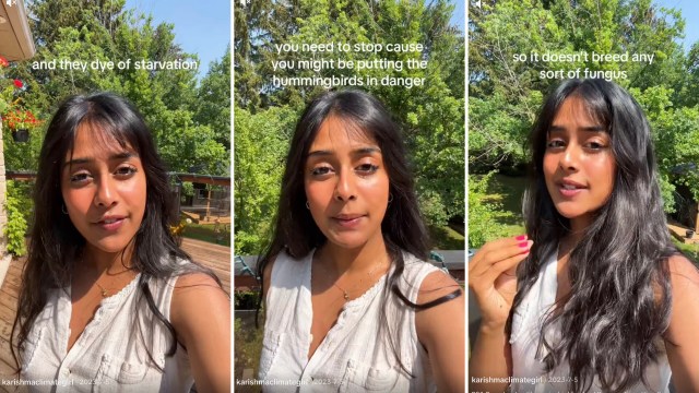 One creator on TikTok is drawing attention to the dangers of using hummingbird feeders.