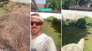 Connected Landscapes' TikTok account revealed how weed liner, aka landscape fabric, isn't an effective weed barrier.