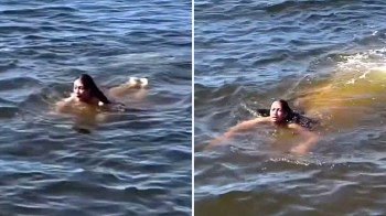 A Redditor took to the platform to ask about the identity of a massive, unknown creature that swims underneath someone in a body of water.