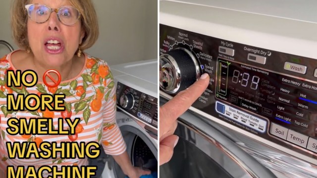 Popular DIY TikToker Babs (@brunchwithbabs) shared a simple trick to get rid of washing machine smells.