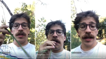 One comedian shared a TikTok video about how to eat invasive fennel in the Los Angeles area.
