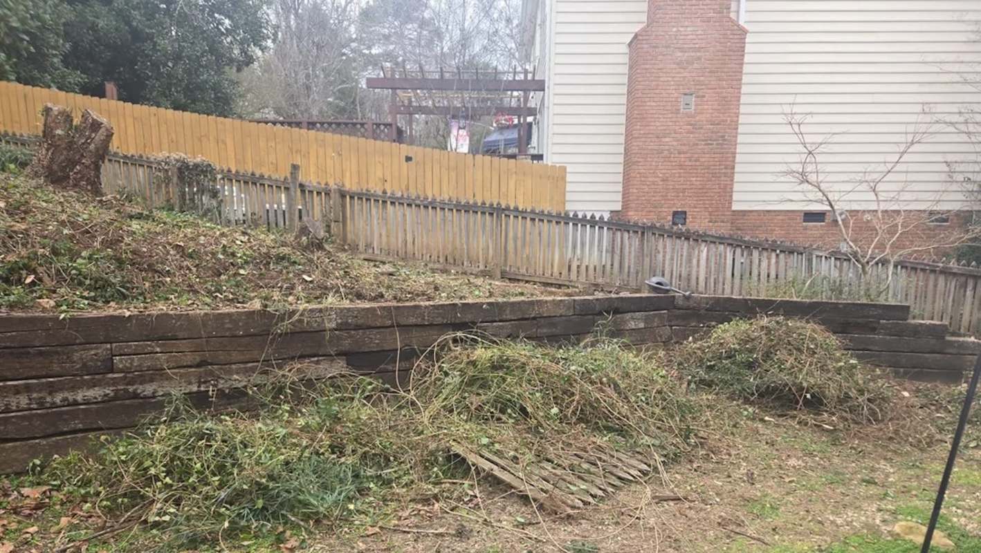 One Redditor shared the laborious and intensive process of removing invasive plants from their yard.