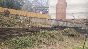 One Redditor shared the laborious and intensive process of removing invasive plants from their yard.