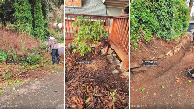 TikToker Elliot_Goes showed how they removed invasive plant species from their mother's yard all in a single day.