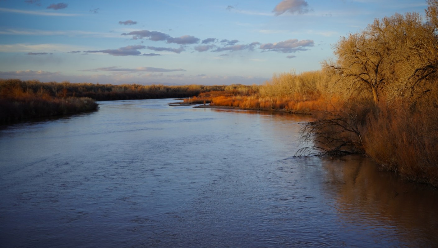 Water managers in New Mexico are urging lawmakers to fund a major effort to remove invasive plant species choking the Rio Grande's bosque.