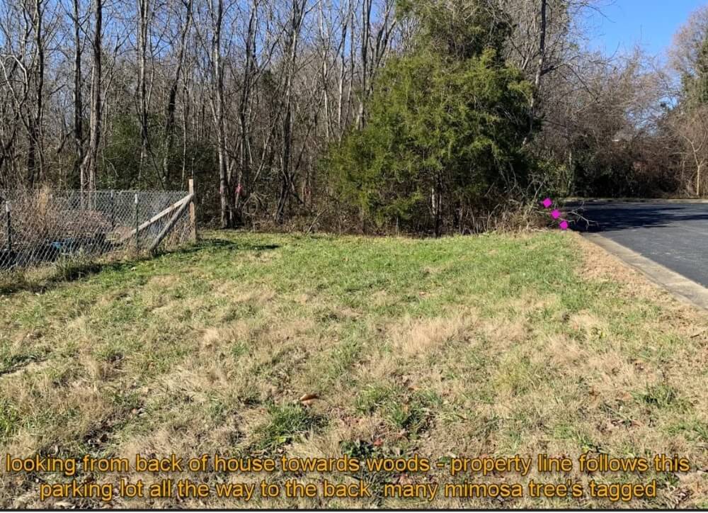 One Redditor shared their experience helping a client with invasive species removal on a property and how they expanded the native plant's growth.