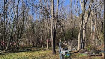 One Redditor shared their experience helping a client with invasive species removal on a property and how they expanded the native plant's growth.