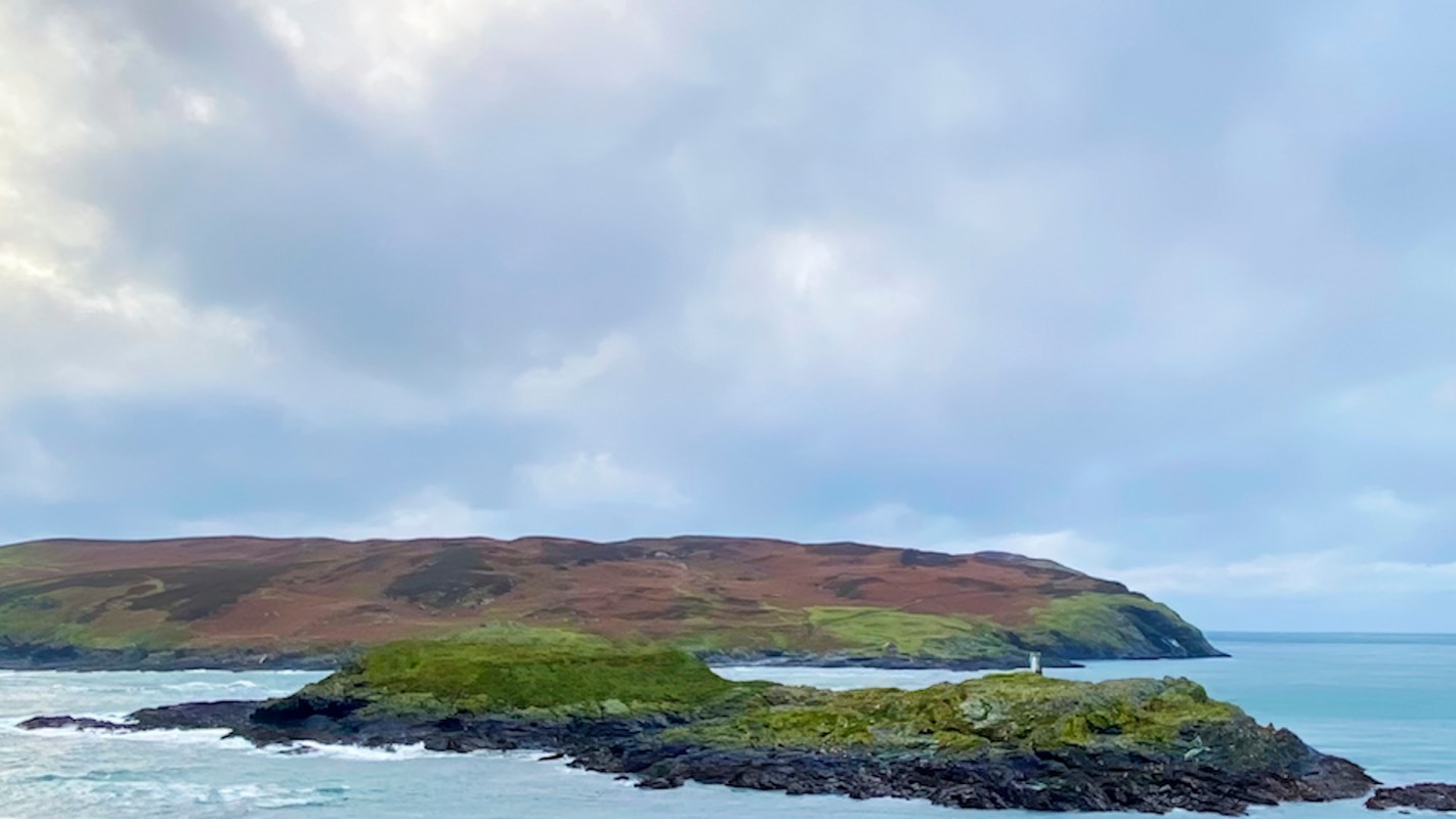 The Isle of Man, a small British island, is home to up to 2,000 feral wallabies from Australia.