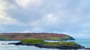 The Isle of Man, a small British island, is home to up to 2,000 feral wallabies from Australia.