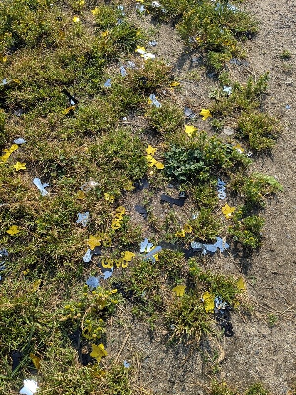 One resident in Baltimore got fed up with the litter in their local park and took to Reddit to vent about it.