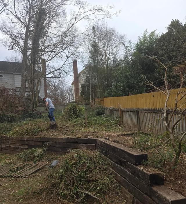 One Redditor shared the laborious and intensive process of removing invasive plants from their yard.
