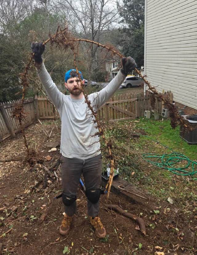 One Redditor shared the laborious and intensive process of removing invasive plants from their yard.