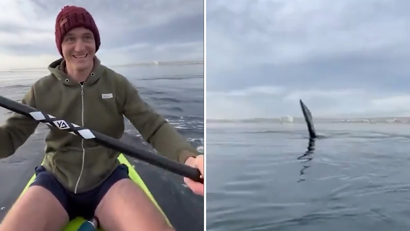 A kayaker’s peaceful paddle turned into a heart-pounding wildlife encounter in a clip that has viewers both awestruck and uneasy.