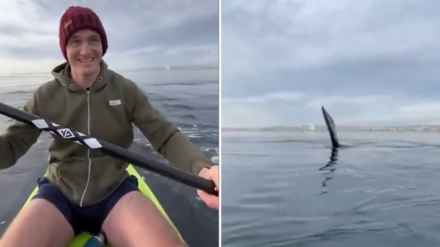 A kayaker’s peaceful paddle turned into a heart-pounding wildlife encounter in a clip that has viewers both awestruck and uneasy.
