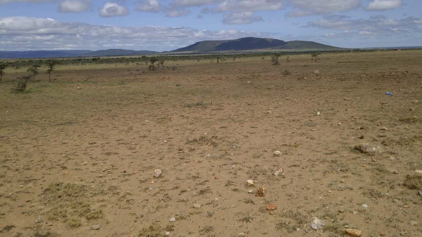 Kenya is facing its worst drought in 45 years, devastating livestock and pushing people toward hunger.